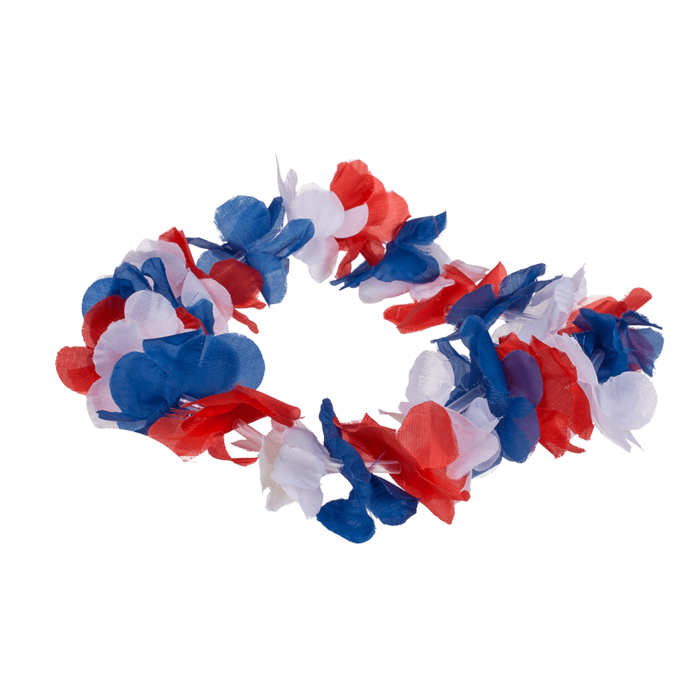Kinky Pleasure - OB073 - Hawai French Flag Hair Band