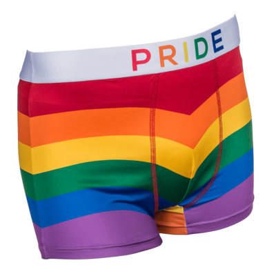 Kinky Pleasure - OB107 - Pride Underwear - Available in 3 Sizes