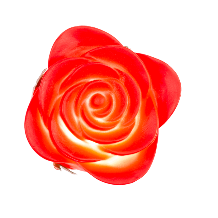 Kinky Pleasure - OB018 - LED Rose - 33x4cm