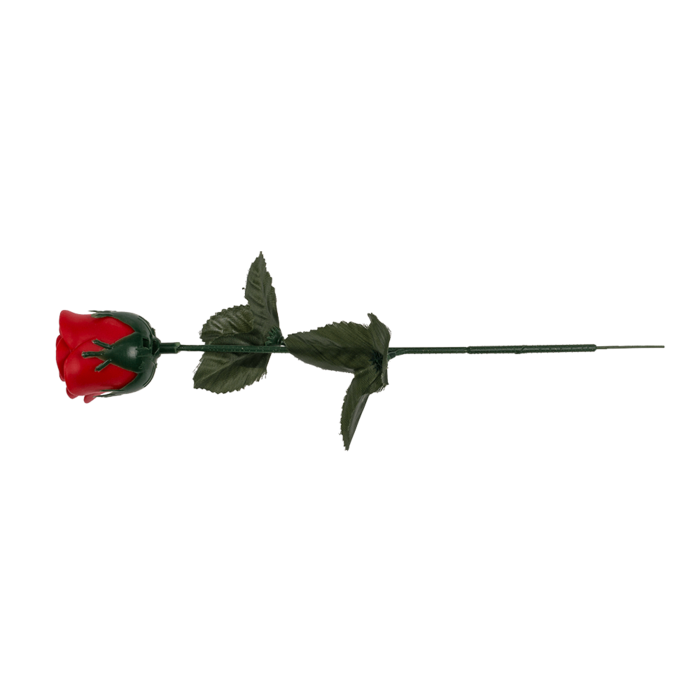 Kinky Pleasure - OB018 - LED Rose - 33x4cm