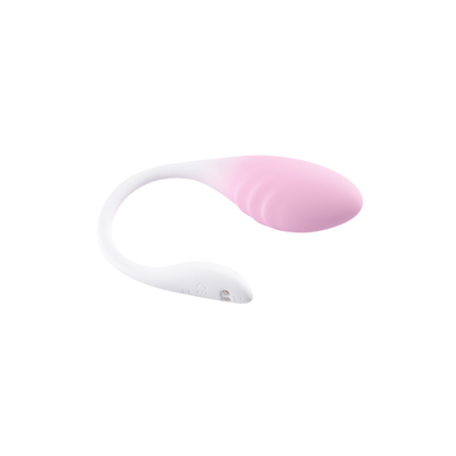 LoveSecret Premium Love Egg Couples Vibrator met Bluetooth App