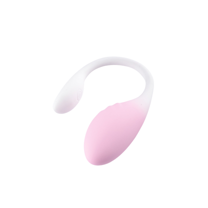 LoveSecret Premium Love Egg Couples Vibrator met Bluetooth App
