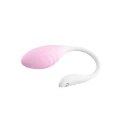 LoveSecret Premium Love Egg Couples Vibrator met Bluetooth App