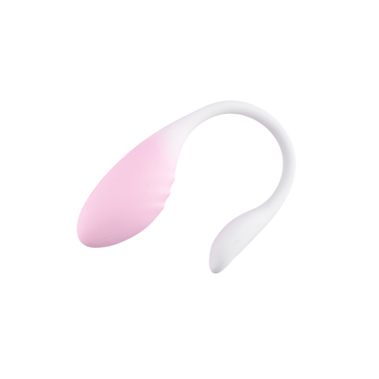 LoveSecret Premium Love Egg Couples Vibrator met Bluetooth App