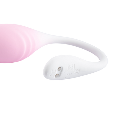 LoveSecret Premium Love Egg Couples Vibrator met Bluetooth App