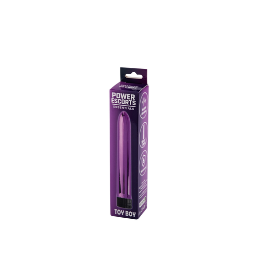 Slanke Paarse Vibrator met Meerdere Vibratie Standen