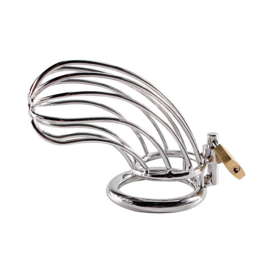 Prison Break Chastity Cage – RVS Penis Kooi Silver