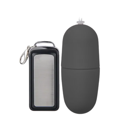 Vibrerend Ei met Afstandsbediening Zwart