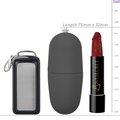 Vibrerend Ei met Afstandsbediening Zwart