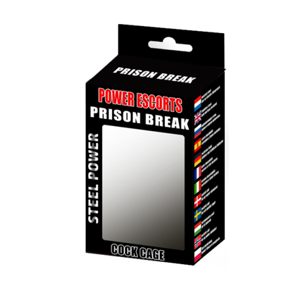 Prison Break Chastity Cage – RVS Penis Kooi - Silver