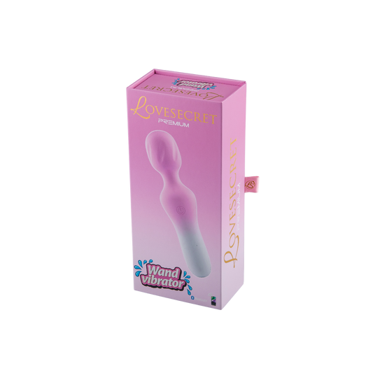 Love Wand met App-Bediening